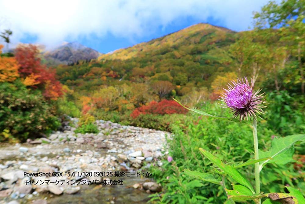 Canon デジタルカメラ PowerShot G5 X