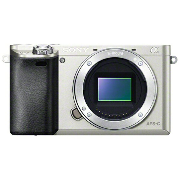 SONY - ソニー SONY ミラーレス一眼 α NEX-6 ボディ Amazon | SONY ミラーレス一眼カメラ α NEX-6ボディ ブラック