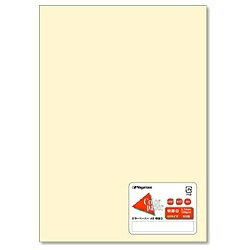 NAGATOYA カラーペーパー A5 特厚口 レモン ナ-5402