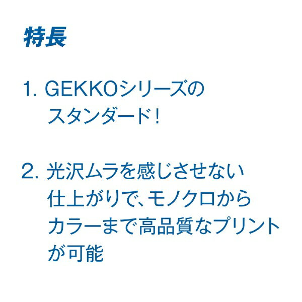 ピクトリコ GEKKOブルー・ラベル A3ノビ 20枚 新品未使用 ピクトリコ GEKKOブルー・ラベル A3ノビ 20枚 新品未使用 - メルカリ