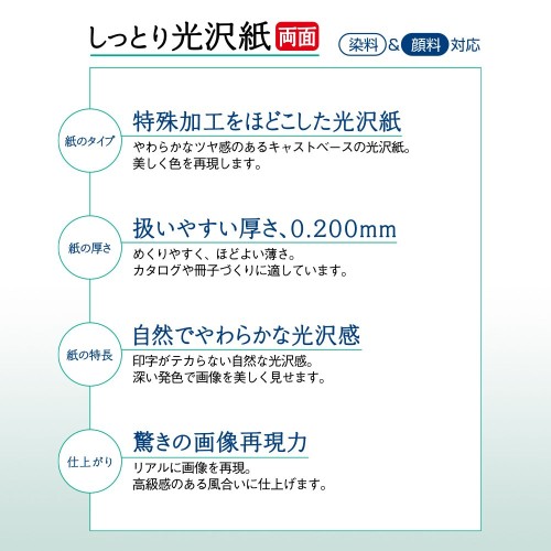 PLUS しっとり光沢紙 両面 A4判 IT-W125SG-N