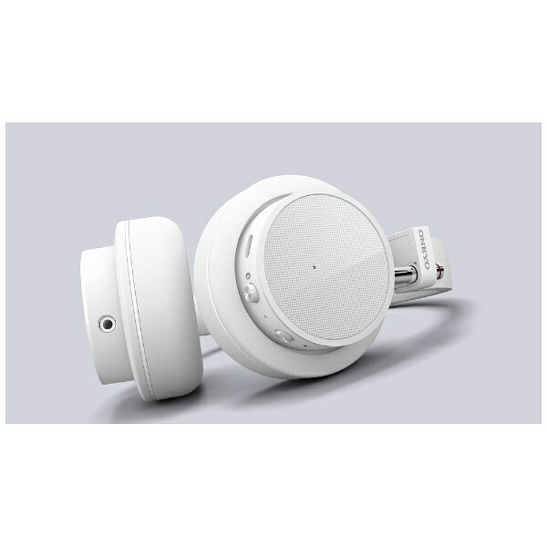 audio-technica 密閉型 ヘッドホン ATH-A1000X レビュー】audio technica ATH-A1000X 上品サウンドの結晶