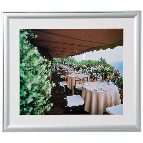 楽天市場】DNPフォトイメージングジャパン DNP｜大日本印刷 アルミ額縁