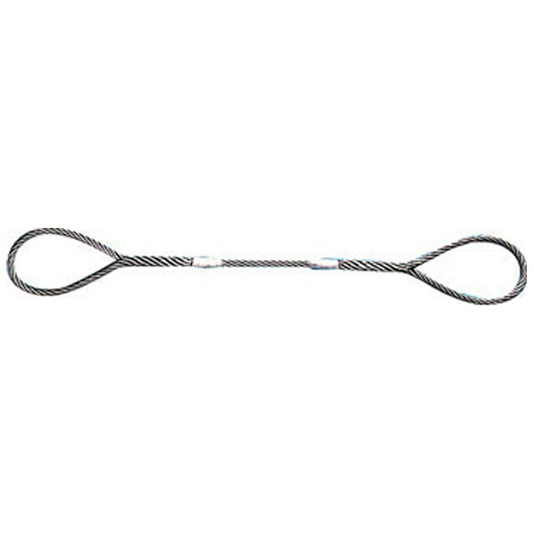 ＴＲＵＳＣＯ　Ｗスリング　Ａタイプ　６ｍｍＸ１．０ｍ