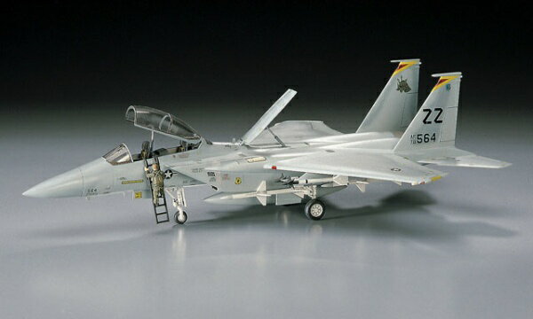 1/72 F-14D トムキャット ”エースコンバット パンプキンフェイス” Amazon.com: Hasegawa 1/72f-14d F-14 