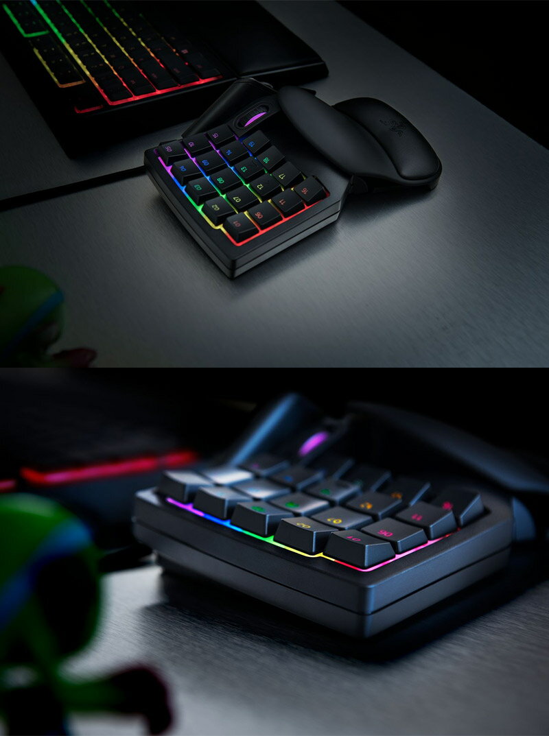 Razer Tartarus V2 RZ07-02270100-R3M1 中野