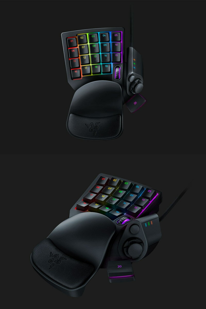 Razer Tartarus V2 RZ07-02270100-R3M1 中野