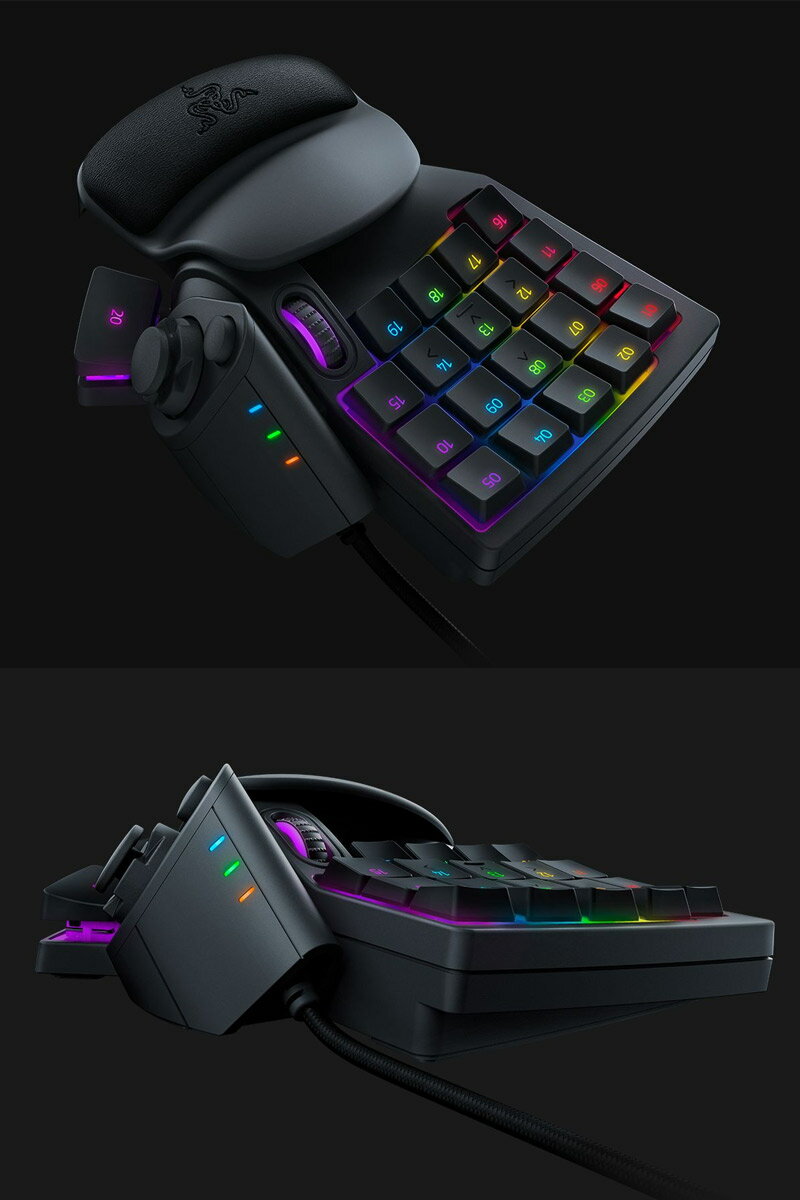 Razer Tartarus V2 RZ07-02270100-R3M1 中野