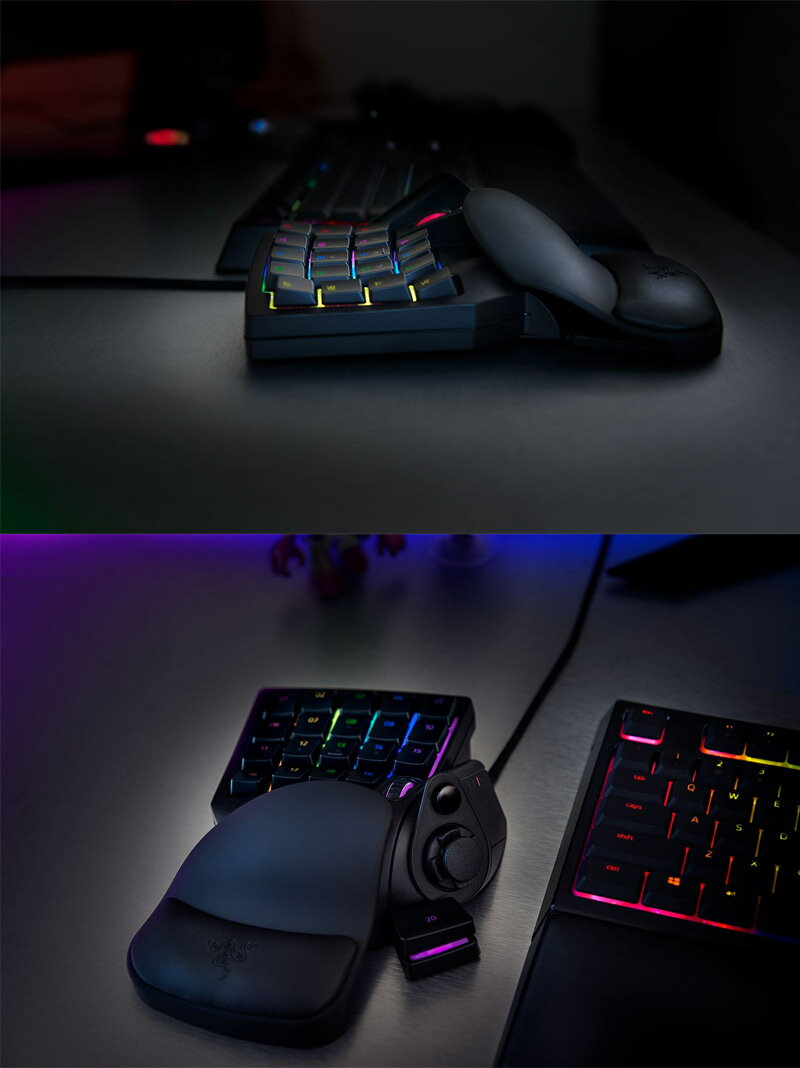 Razer Tartarus V2 RZ07-02270100-R3M1 中野