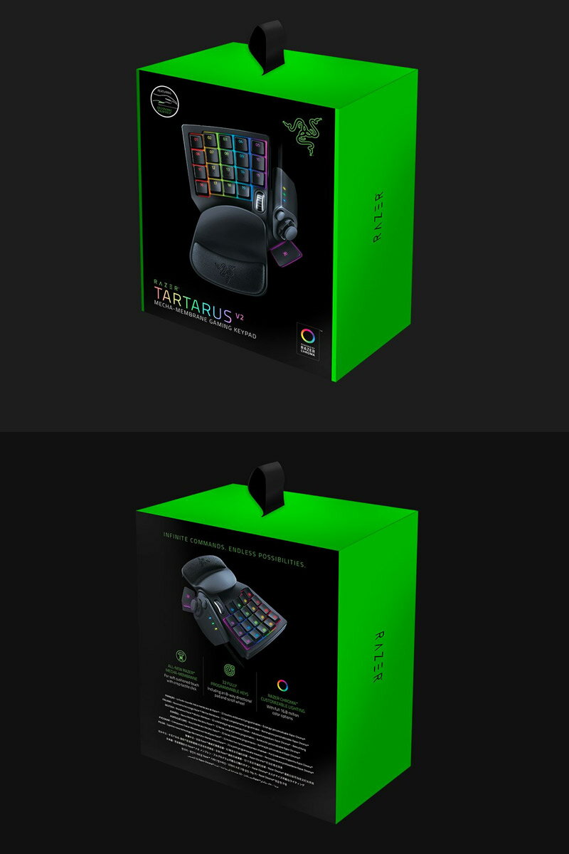 Razer Tartarus V2 RZ07-02270100-R3M1 中野