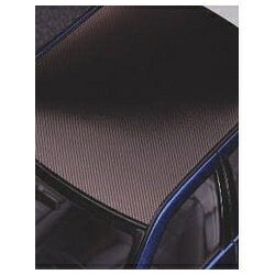 カーボンフィニッシュ２０