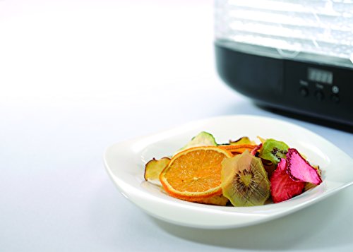 楽天市場】プリンセスフードドライヤー Food Dryer 112381 | 価格比較