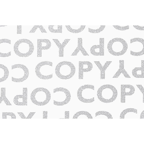 エレコム コピー予防用紙 KJH-NC02(100枚入)