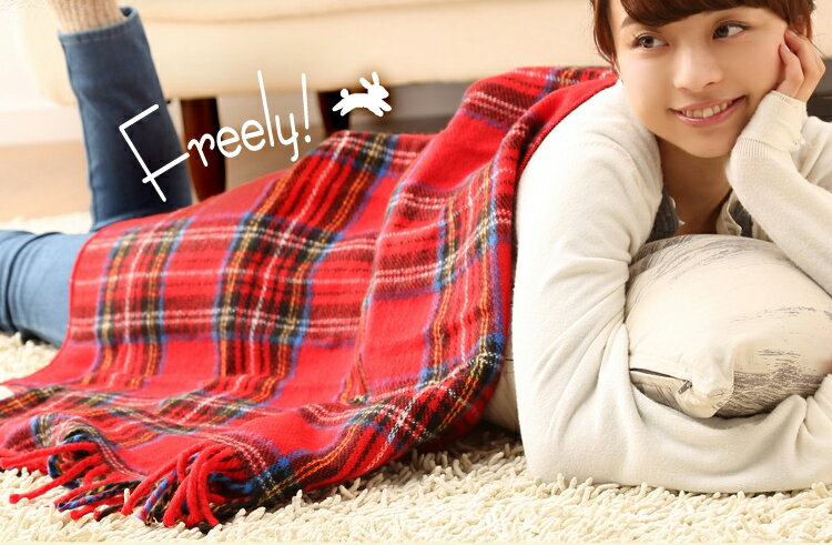 電気ひざ掛け毛布 レッド NA-055H-RT