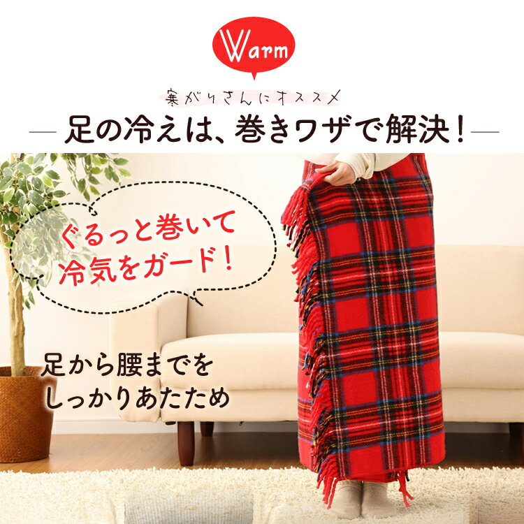 電気ひざ掛け毛布 レッド NA-055H-RT