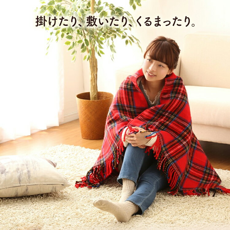 電気ひざ掛け毛布 レッド NA-055H-RT