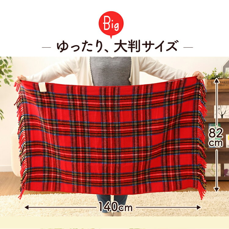電気ひざ掛け毛布 レッド NA-055H-RT