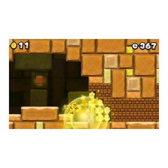 New スーパーマリオブラザーズ2/3DS/CTRPABEJ/A 全年齢対象