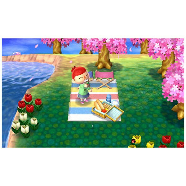 とびだせ どうぶつの森/3DS/CTRPEGDJ/A 全年齢対象