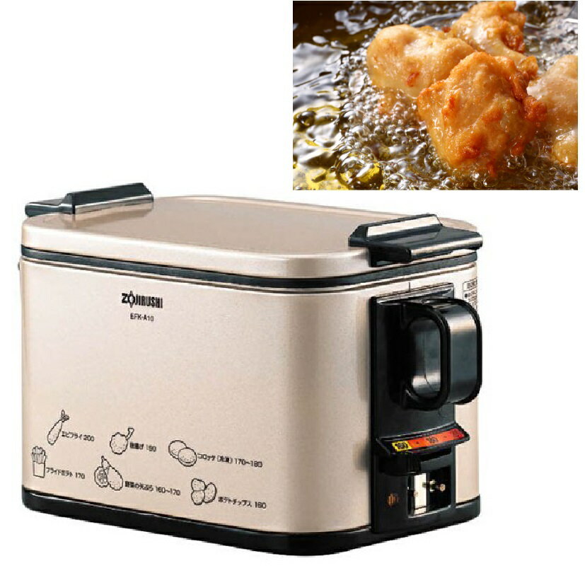 象印 電気フライヤー EF-KA10G-TJ