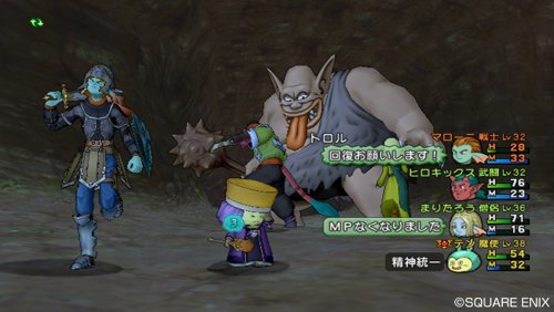 Ｗｉｉ　ドラゴンクエスト１０　ＵＳＢ