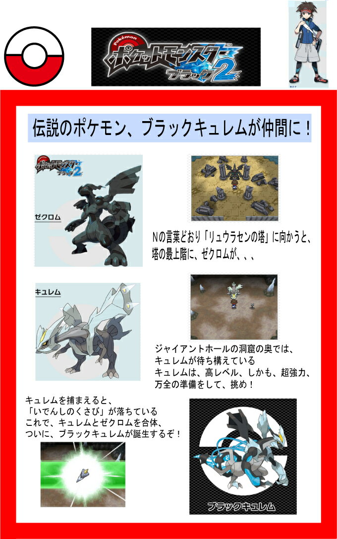 楽天市場】任天堂 NDS ポケットモンスターブラック2 | 価格比較