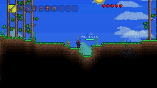 ＰＳ３ テラリア【ＰＳ３】