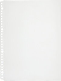 透明ポケット エコノミータイプ30穴(台紙なし) 103EPP-100(100枚入)