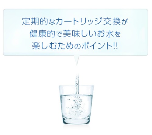 ビルトイン浄水器 ビルトインアルカリ整水器 交換用カートリッジ P-35MJRT(1本入)