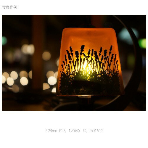 SONY レンズ レンズ E24F1.8ZA