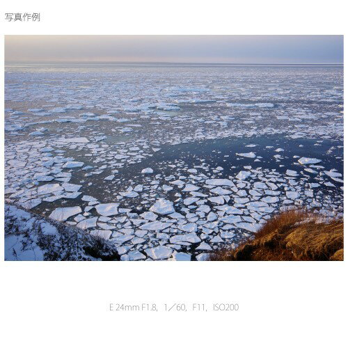 SONY レンズ レンズ E24F1.8ZA