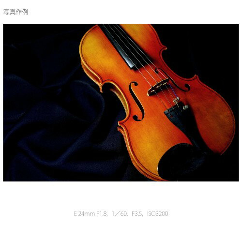 SONY レンズ レンズ E24F1.8ZA