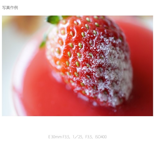 SONY  レンズ E30F3.5MACRO