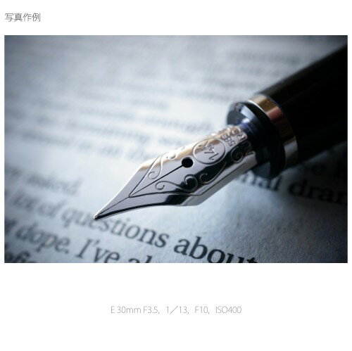 SONY  レンズ E30F3.5MACRO