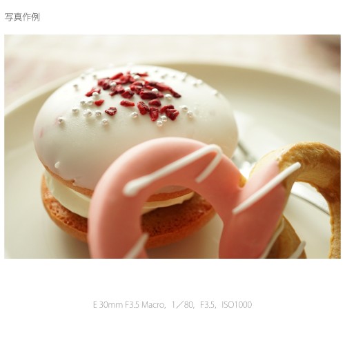 SONY  レンズ E30F3.5MACRO