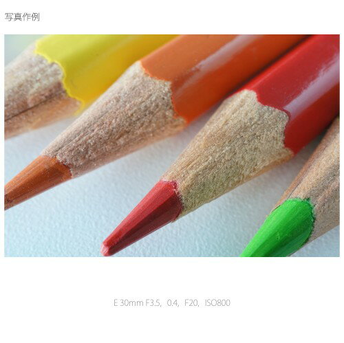 SONY  レンズ E30F3.5MACRO