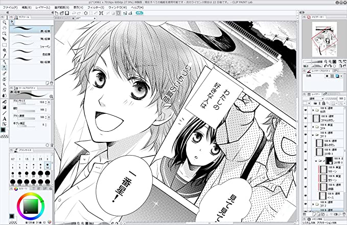 CELSYS CLIP STUDIO PAINT PRO