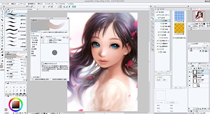 CELSYS CLIP STUDIO PAINT PRO