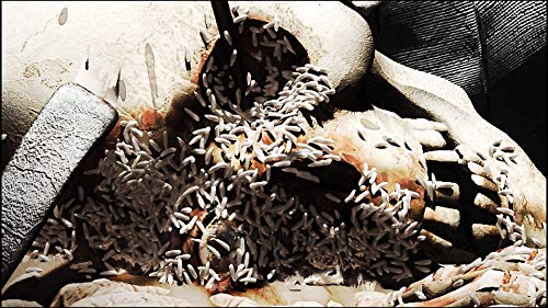 鬼武者 幻魔封印箱のパッケージ画像