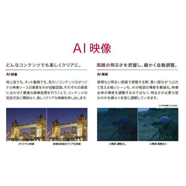 LG 有機ELテレビ OLED65C9PJA