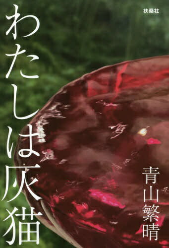 楽天市場】みのり書房 黒猫物語/みのり書房/潮藍 | 価格比較 - 商品