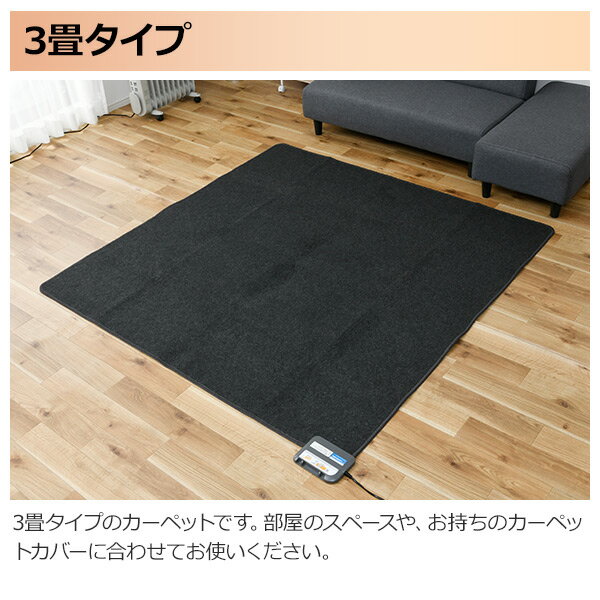 YAMAZEN ホットカーペット SUS-202 SUS-202 空気をキレイにする ホットカーペット 本体 1枚 YAMAZEN