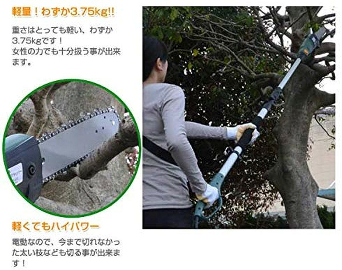 楽天市場】SIS 電動高枝切りチェンソー 高枝健太郎くん ET1208(1台