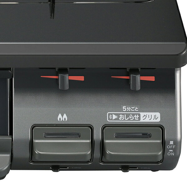 Rinnai ガスコンロ RT64JH6S2-G-L LPG