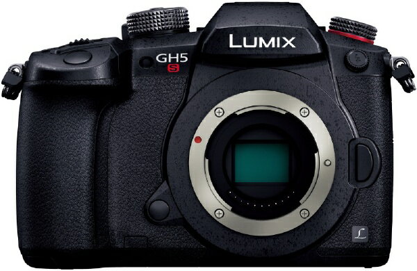PANASONIC LUMIX DC-GH5S