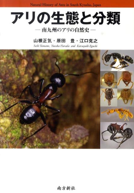 アリの生態と分類 南九州のアリの自然史/南方新社/山根正気