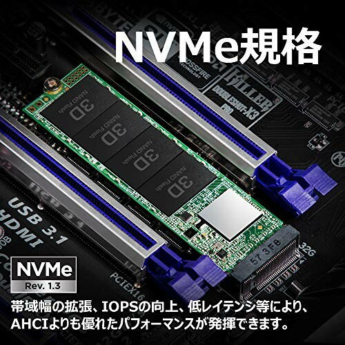 Transcend SSD TS1TMTE110S