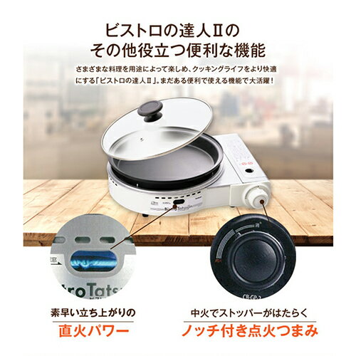 楽天市場】岩谷産業 ビストロの達人II (ホワイト) CB-GP-W | 価格比較