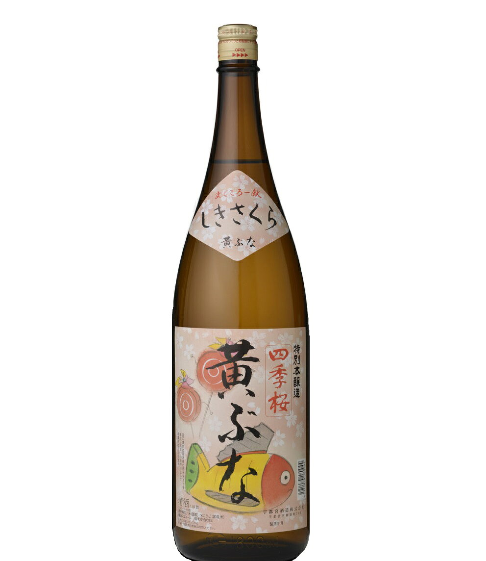 四季桜 画像 9