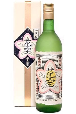 四季桜 画像 5